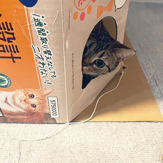 karinさんの部屋
