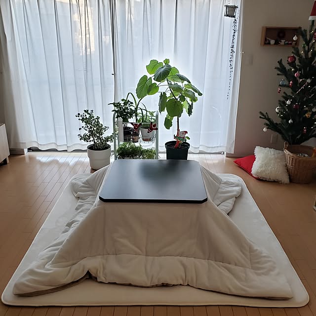 wanidaさんの実例写真