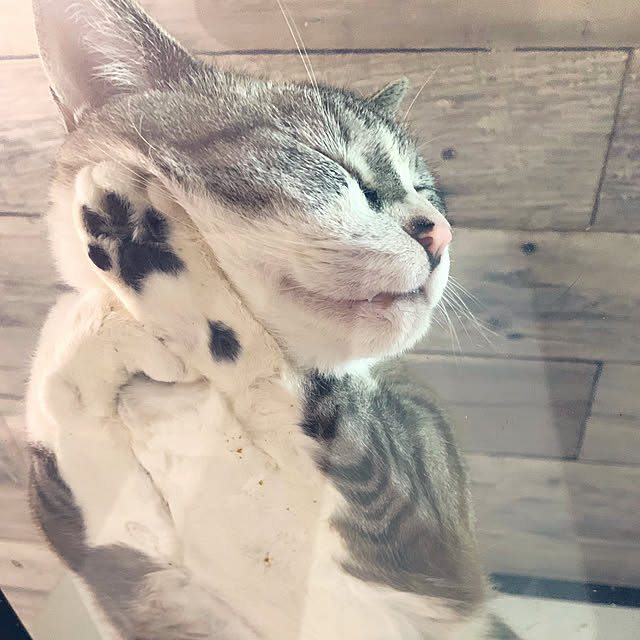 terrainさんの実例写真