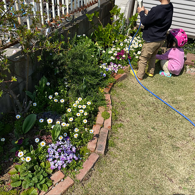 kasさんの実例写真