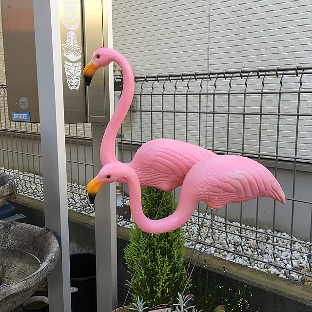 alohamamaさんの実例写真