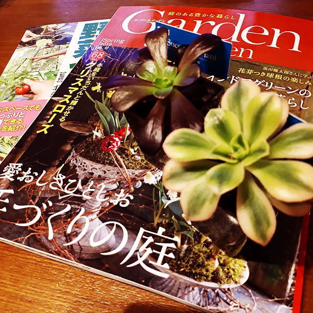 pumpkin11さんの実例写真