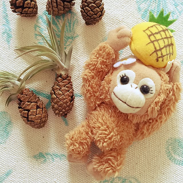 jiji.majo29さんの実例写真