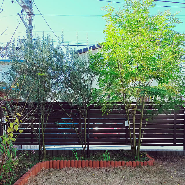 masaさんの実例写真