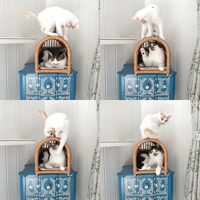 yuchiさんの実例写真