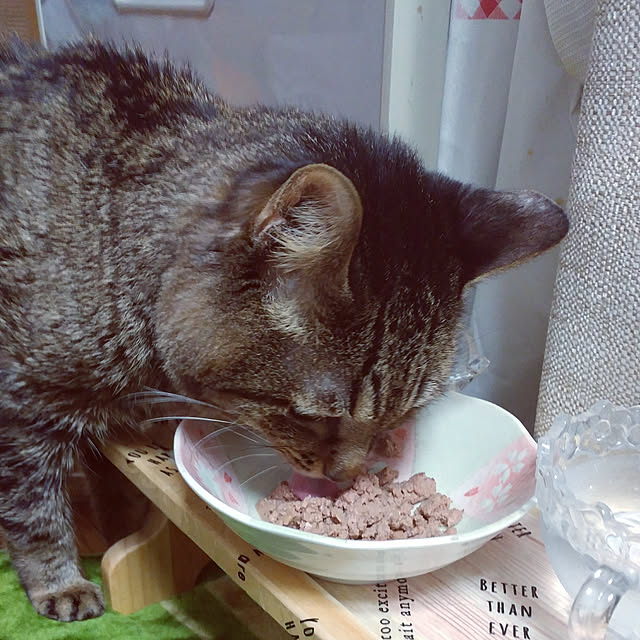 kittenblueさんの実例写真