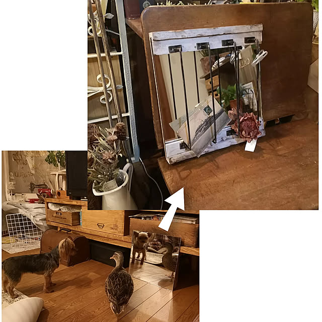 akiさんの実例写真