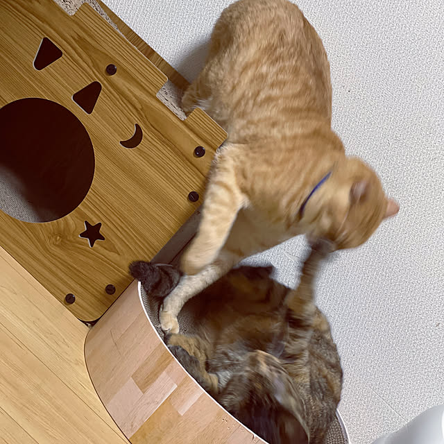 chiiさんの部屋