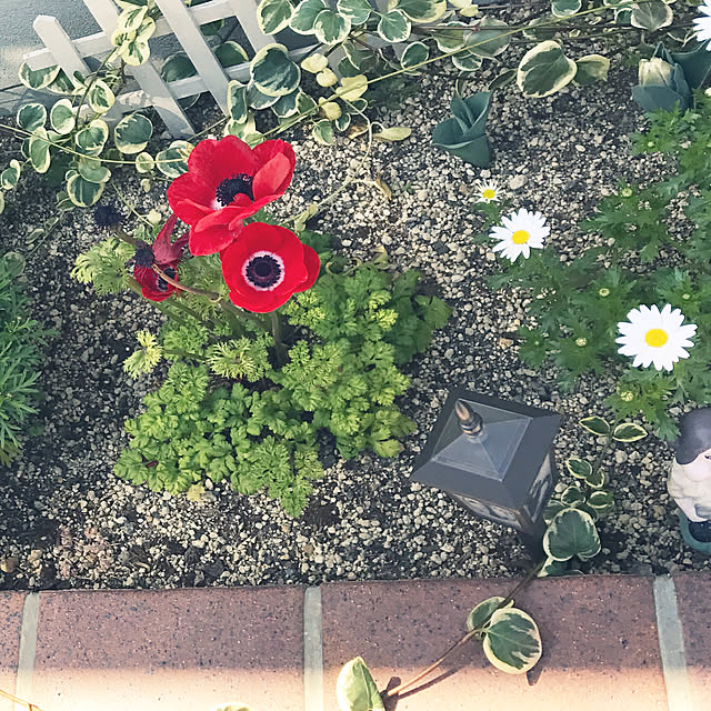sunflowerさんの実例写真
