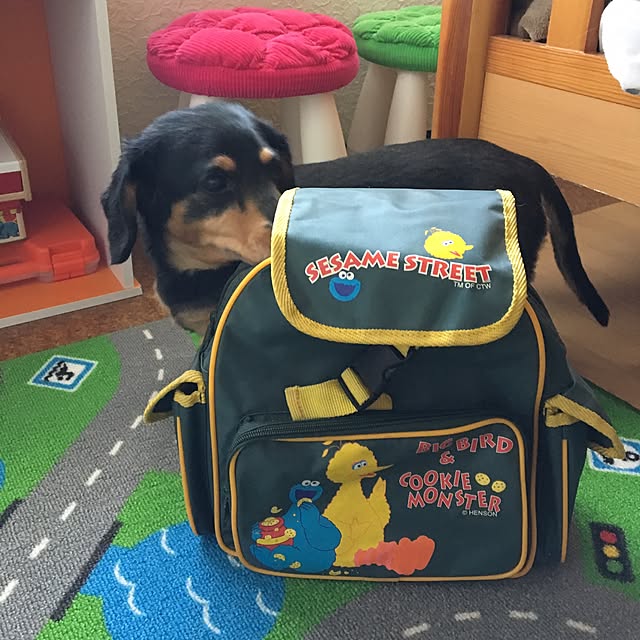 ohanaさんの実例写真