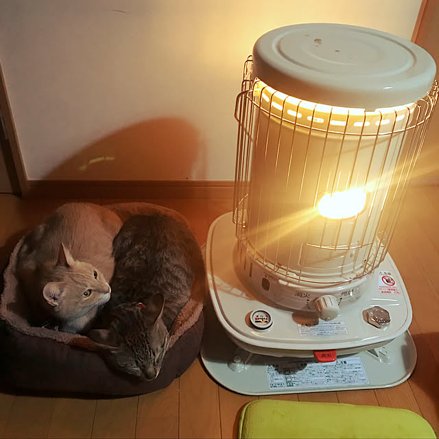 mikan161さんの実例写真