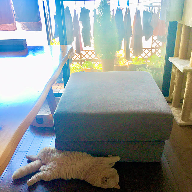 naokoさんの実例写真