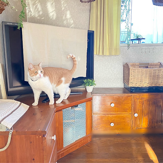 mintteaさんの実例写真