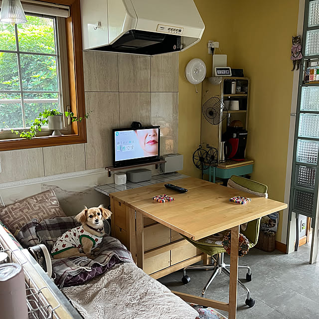 cloverさんの部屋