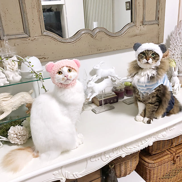 yuchiさんの実例写真