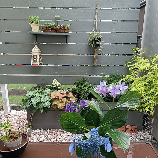 ayaさんの部屋