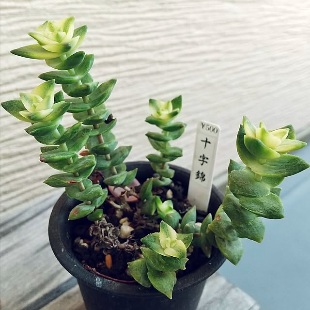 meiさんの部屋