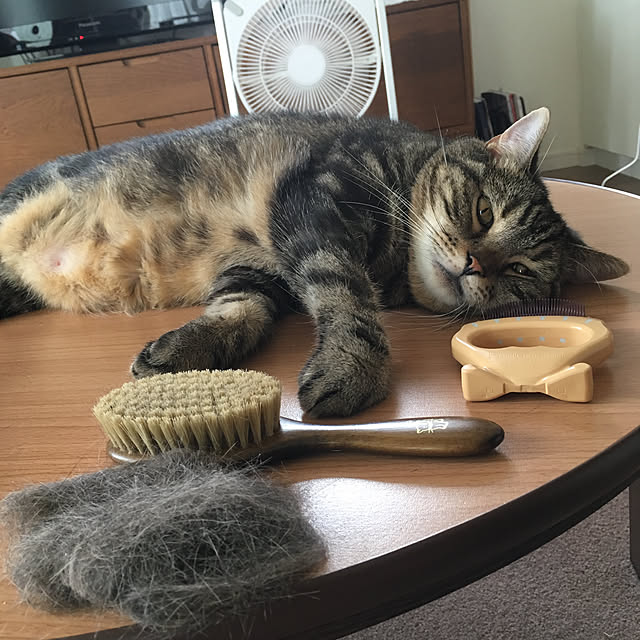 mikomaruさんの実例写真