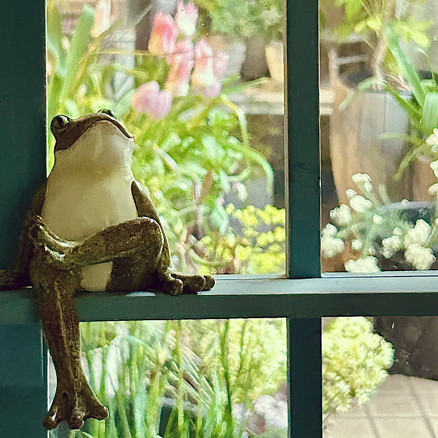 DAYONEさんの実例写真