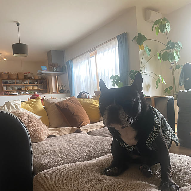 kotaroさんの部屋