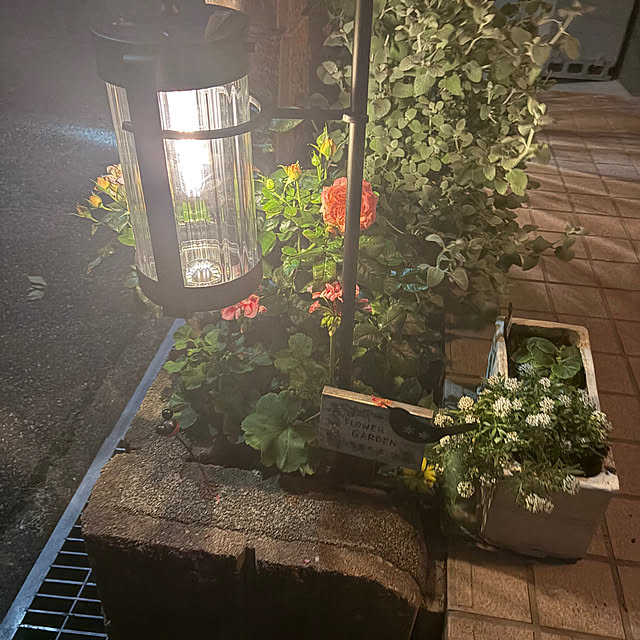 tocoさんの実例写真