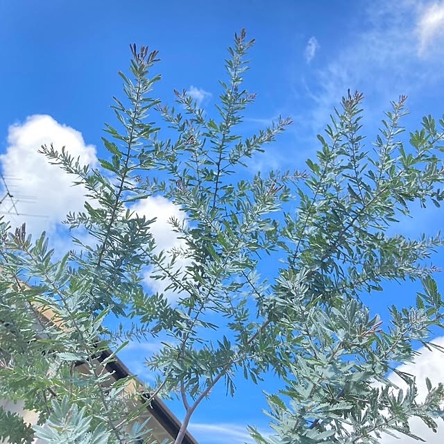 min_nimさんの実例写真