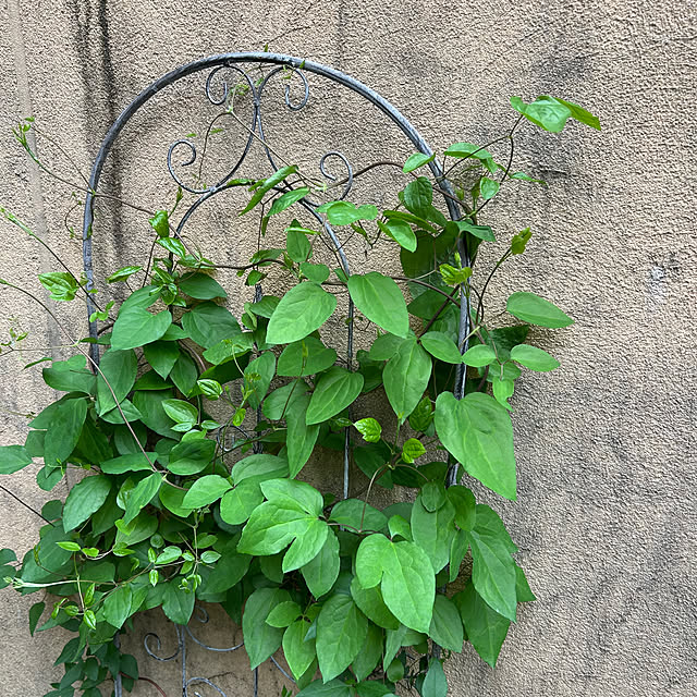 fumikoiさんの部屋