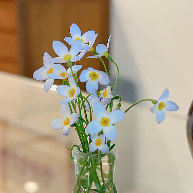ponme33さんの部屋