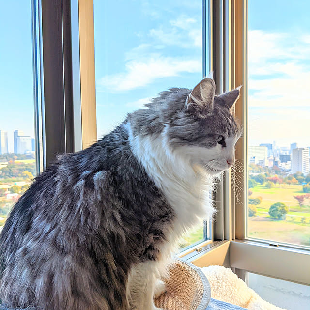 ponさんの実例写真
