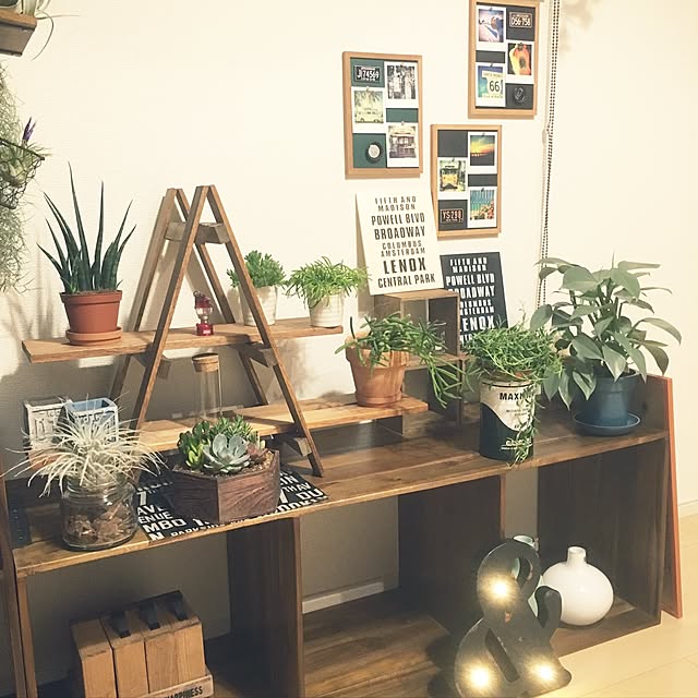 Junskaさんの実例写真
