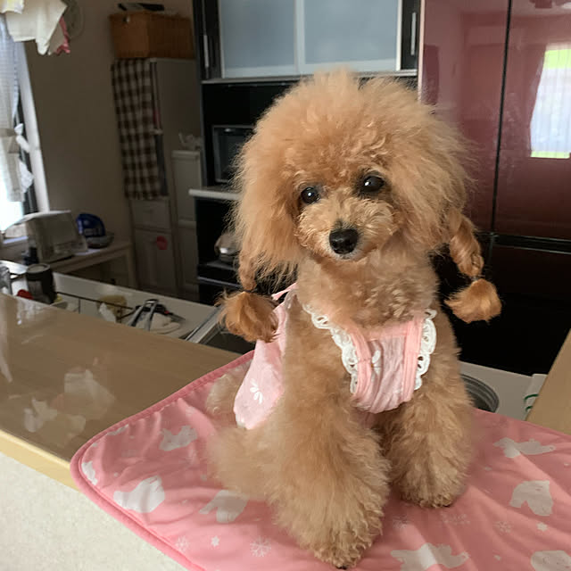 ROSEさんの実例写真