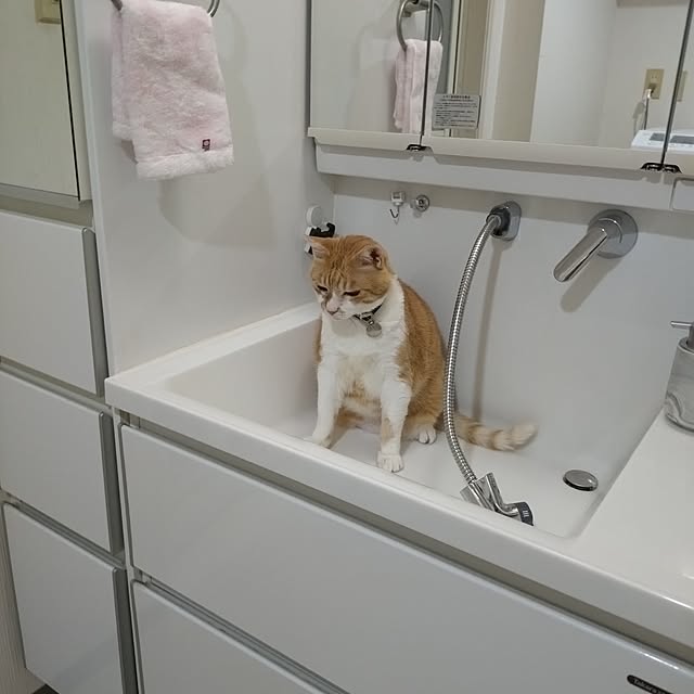 NOAHさんの部屋