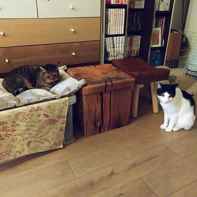 futukoさんの実例写真