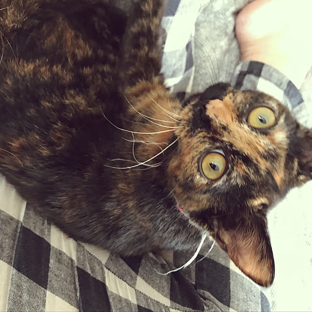 mさんの実例写真