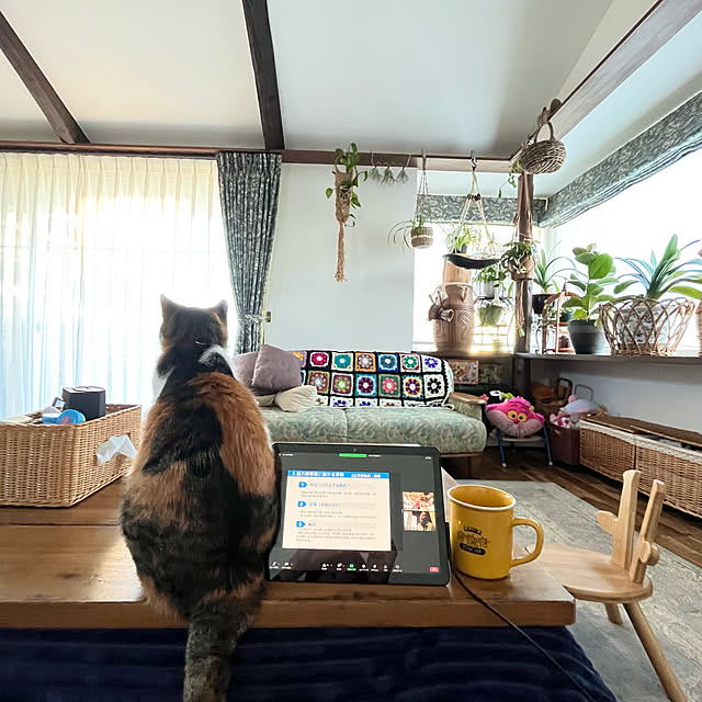 Maruさんの実例写真