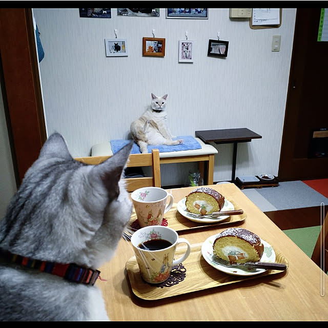 mntcさんの実例写真