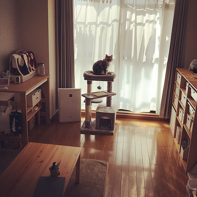 madelineさんの実例写真
