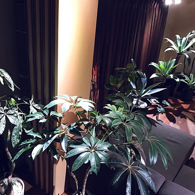 moonさんの実例写真