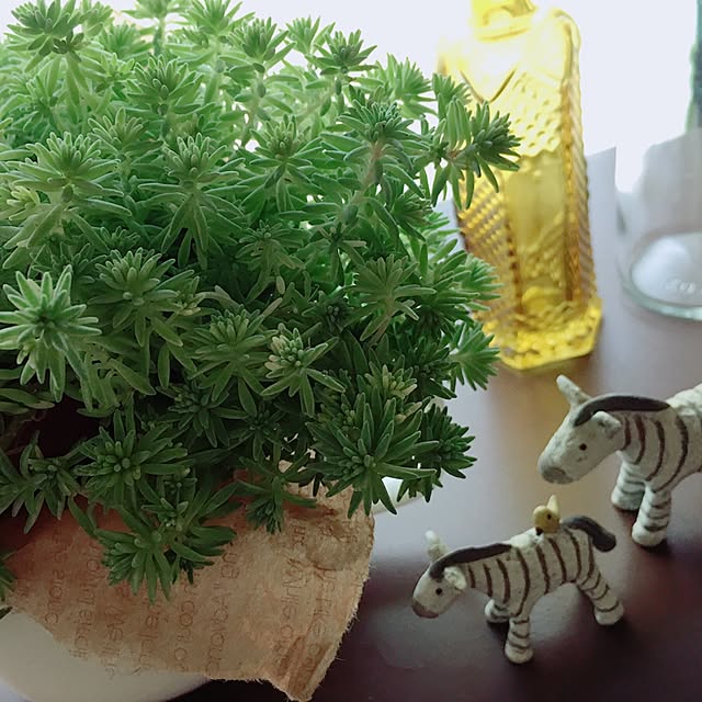 charuさんの実例写真