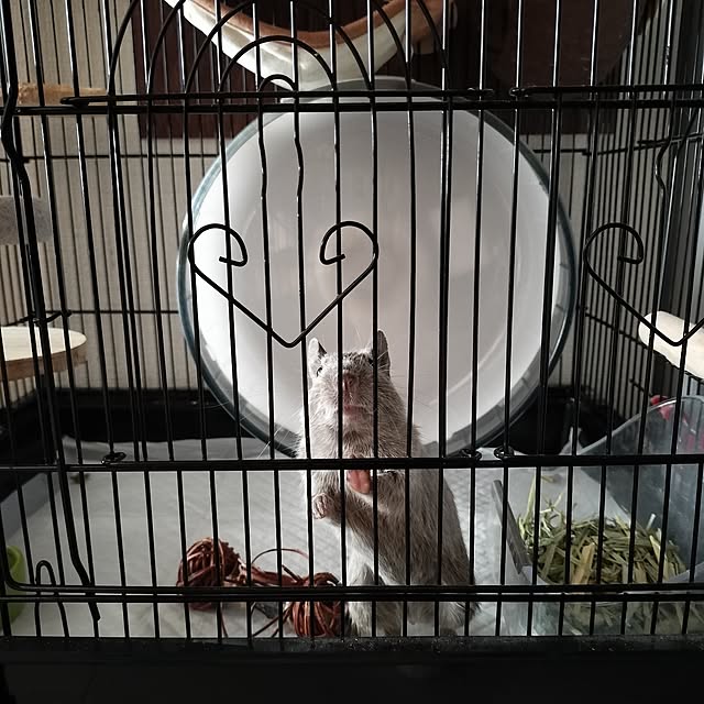 minmiさんの実例写真