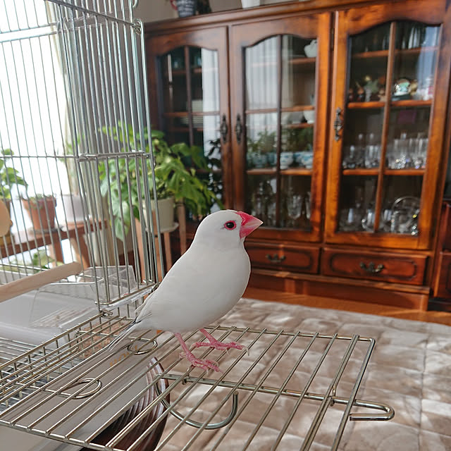 ayaさんの実例写真