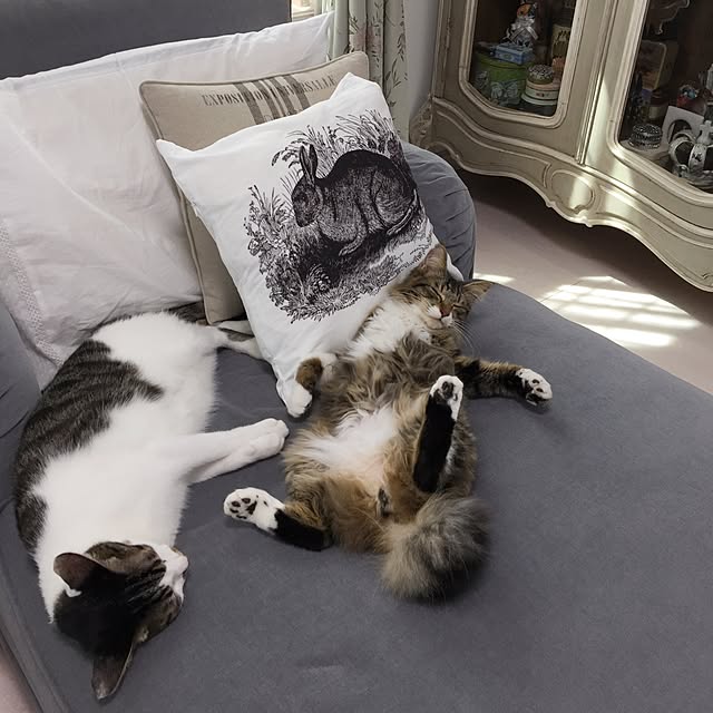 yuchiさんの実例写真
