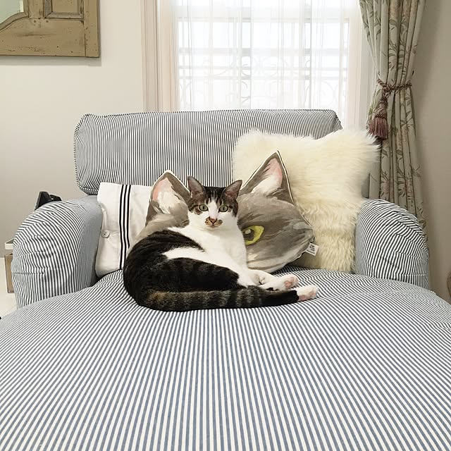yuchiさんの実例写真
