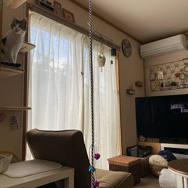Lufuさんの実例写真