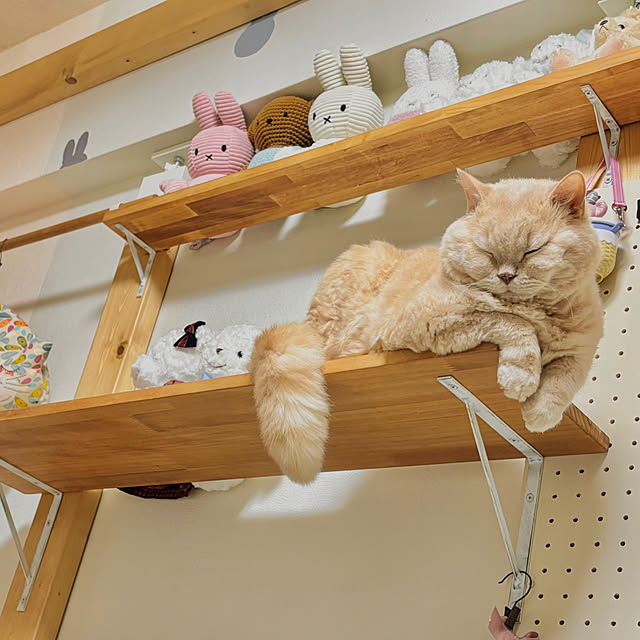 naokoさんの実例写真