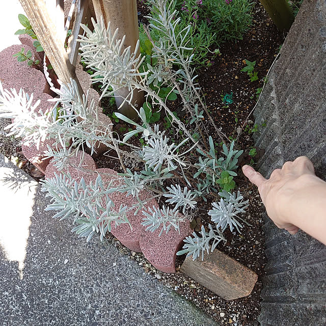 fukuさんの実例写真