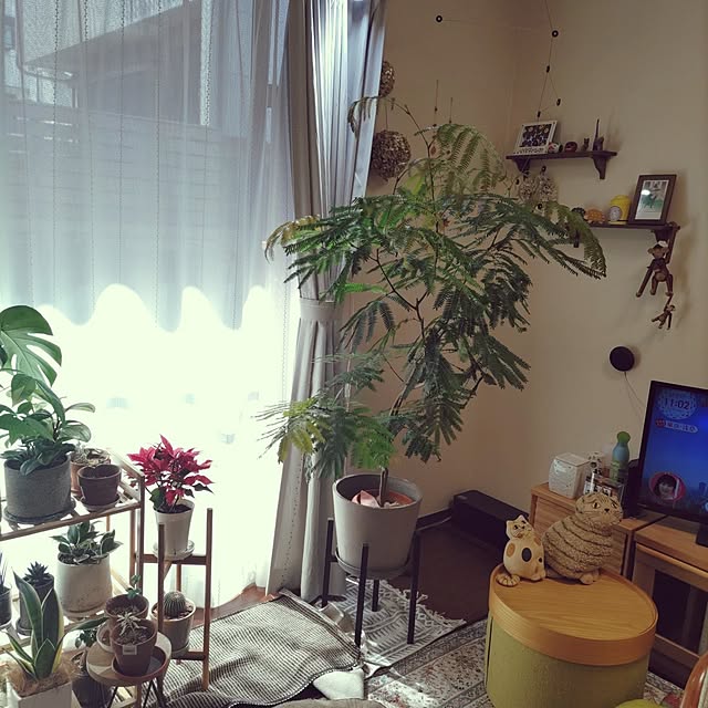yuuさんの実例写真