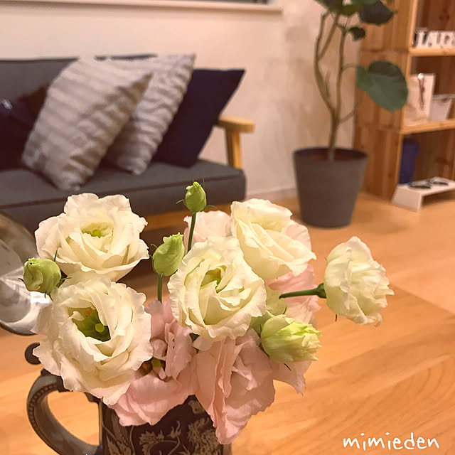 mimiedenさんの実例写真