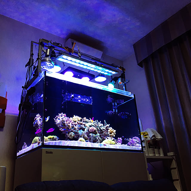 aquarium_seaさんの実例写真