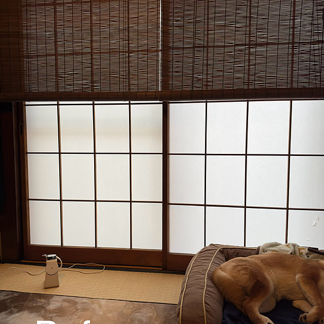 masato.mikiさんの実例写真